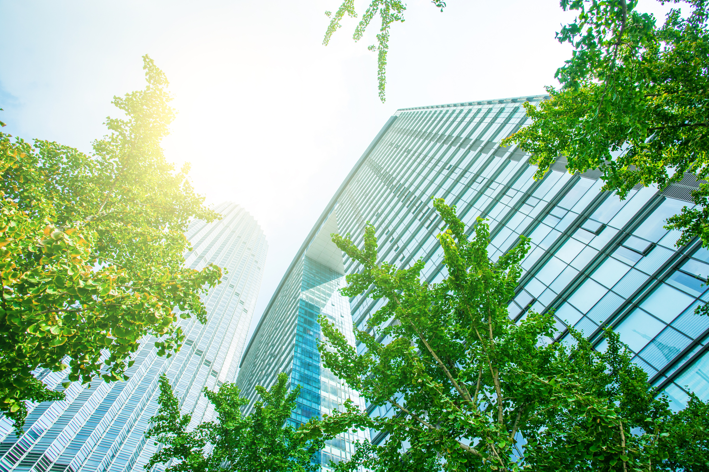 Green city building